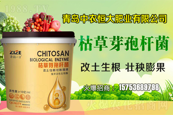 �ݲ�ѿ�ߗU������ǡ����С������ݲ�ѿ�ߗU�����w�������˽�᣿