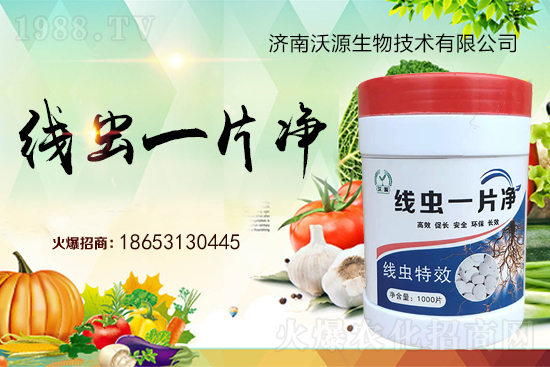 ���Y(ji��)���x�y���������ξ��x�����xһƬ����