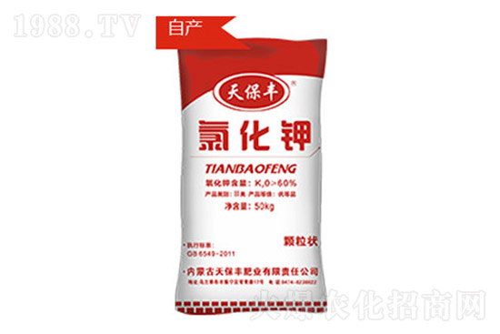 ⛷��߄�ƫ����⛷ʃr�����飨10��14�գ�