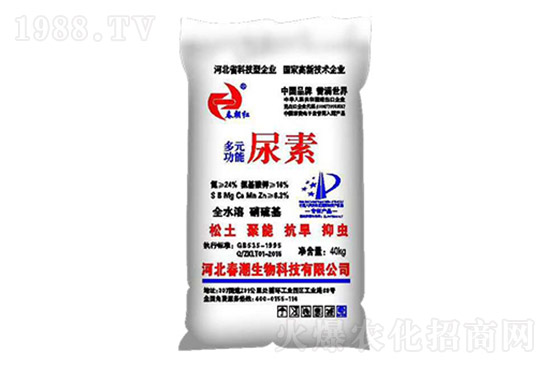 ���؃r���j�q��2021.10.20���؃r������