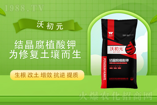 ⛷ʃr��߀���q����10��22��⛷ʃr������