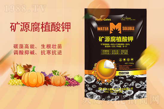 ⛷��Ј���(w��n)���Нq��2021��10.23��⛷�����