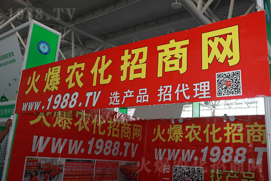 ��s������2021ɽ�|ֲ�������𱬾W(w��ng)��������ʢ�e��