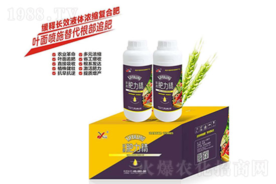 �ͺϷ�߀Ҫ�q�����10��26�ՏͺϷʃr���߄�