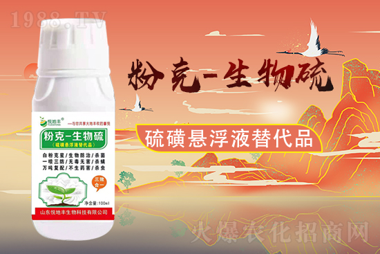 ɽ�|�����S�m(x��)�s1988.TV�����\�����°l(f��)չ