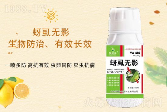 ɽ�|�����S�m(x��)�s1988.TV�����\�����°l(f��)չ