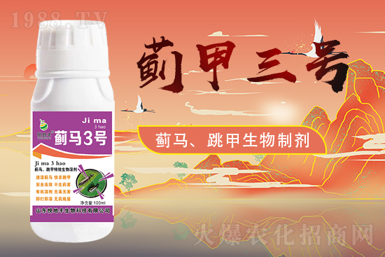 ɽ�|�����S�m(x��)�s1988.TV�����\�����°l(f��)չ