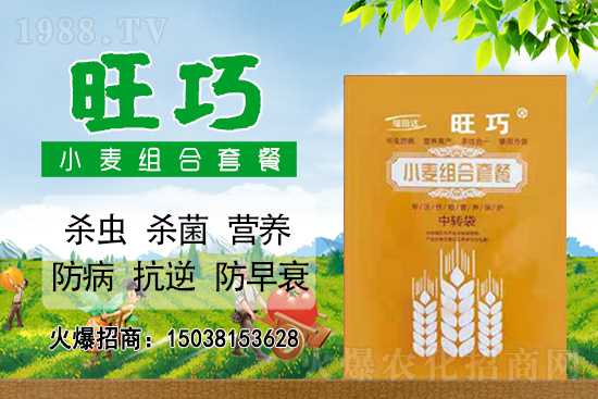 С���r(ji��)��