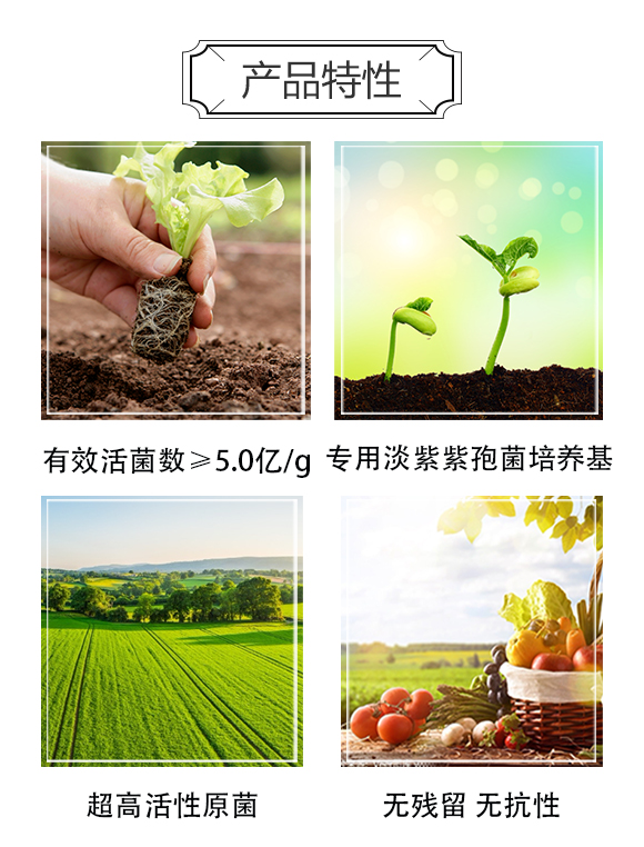 �����f�����ﱣ�o(h��)���޹�˾_03