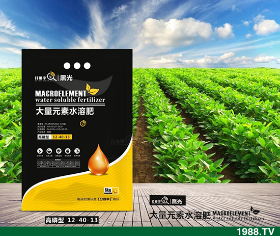 ����(w��n)�\(y��n)����2021.12.31����������@�r(ji��)��