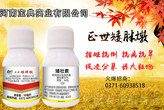 С����������(sh��)���ɓ������I(y��)������Ч��������