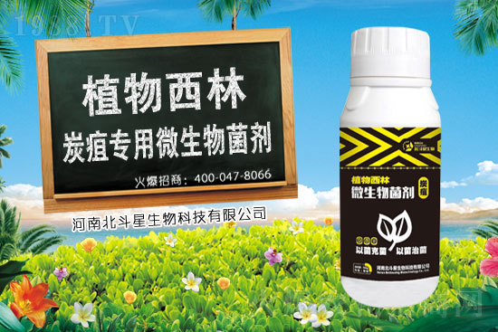 2021��2��3���r(n��ng)ˎ�����؃r(ji��)���Ӎ