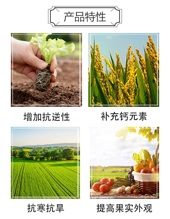 �����}-������-�²��r(n��ng)�I(y��)_02