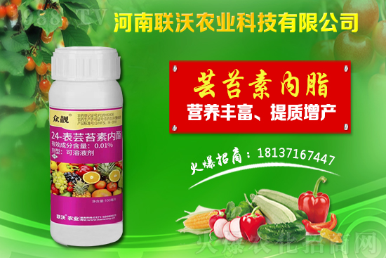 �ٲ��m��ʲô�ط��Nֲ���ٲ��Nֲǰ�����Nֲ���g(sh��)��