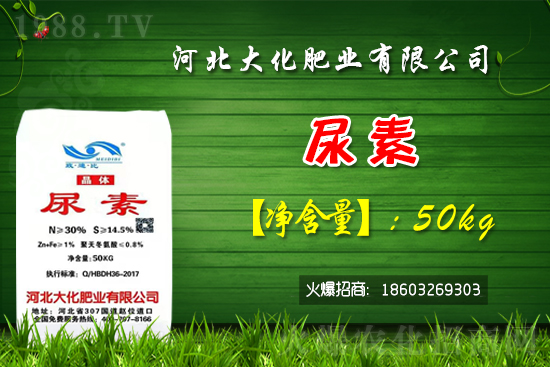 �t��������������X(qi��n)һ�����Nֲǰ����Σ�