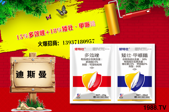 農(nóng)藥灌根常見雷區(qū)有哪些?農(nóng)藥灌根三個施用方法