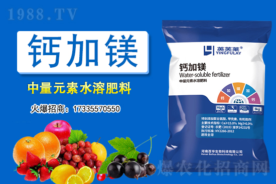 2021年3月11日全國各地大豆價(jià)格行情