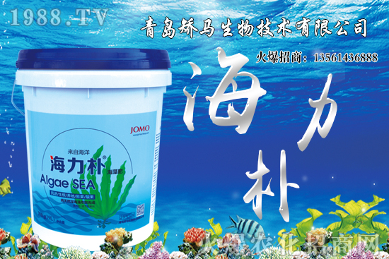 ѩ����r������Xһ����2021��Nֲѩ����ٍ�X����