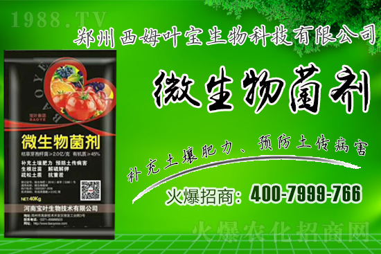 �����m��¶��������߲�Ʒ�N����Щ������Щ�Nֲע�������