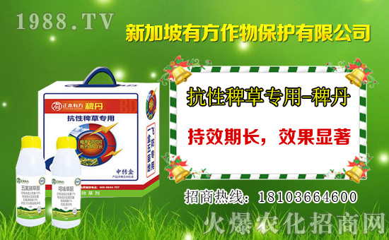 2021��3��19�՟���ݬȥ����݄��r(ji��)���߄�(sh��)