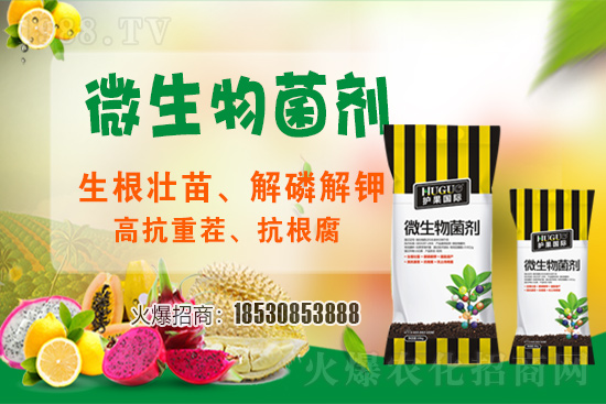 ��ݮ�����F(xi��n)���l���l(f��)������ҪԴ��ʲô������