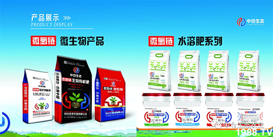 ���˟oζ���ϲ����������㡱�ǻ����ǵĵ���