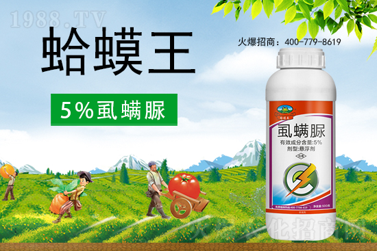 ʭ����������ô�������x���c(di��n)��ʲô��