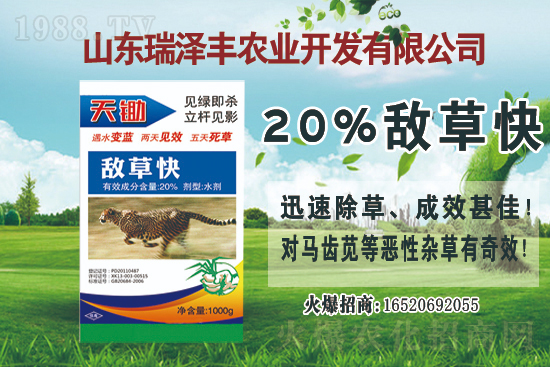 ���ݰ����݄��r(ji��)���߄�(sh��)2021.4.13