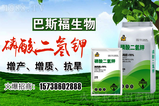 С���r��F(xi��n)�ڶ����Xһ�������������߄���Σ�