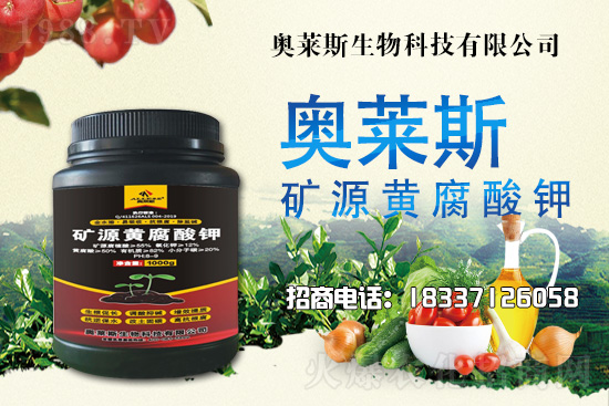 �`֥���a(ch��n)����(ji��)��ʲô�r�����`֥���϶�ľ�������༼�g(sh��)��