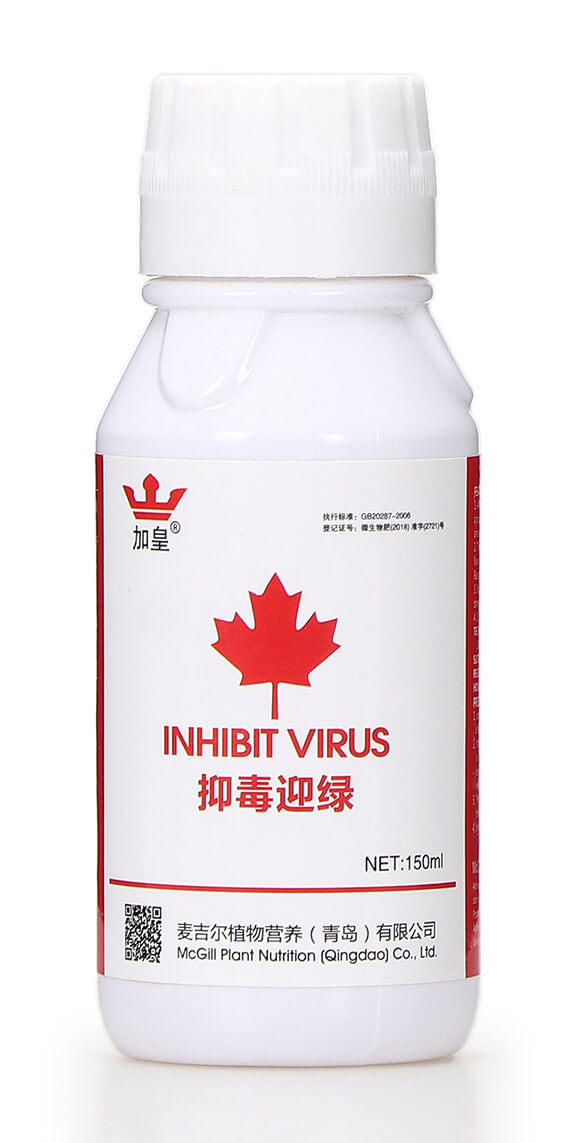 �ֶ�ӭ�G�����β������� �G��5