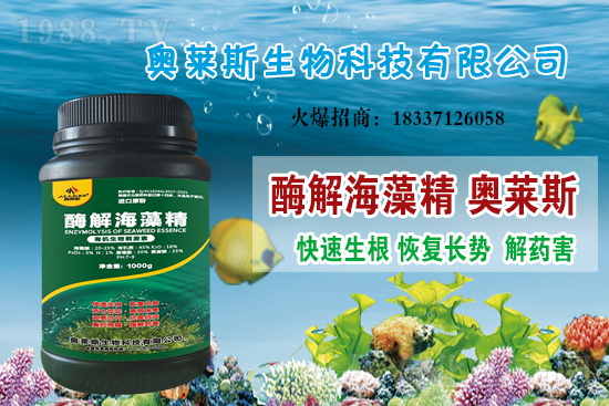 大豆價(jià)格還會(huì)上漲嗎?今日大豆價(jià)格行情