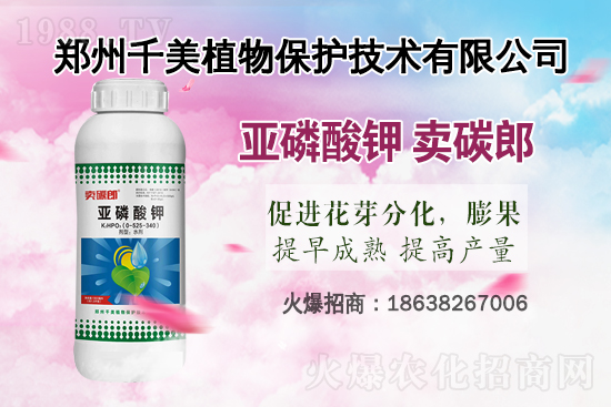 2021��ˮ�������ԗl�߲����ؼ��g��Ҋ