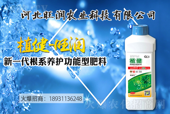 �{(l��n)ݮ��(sh��)����ô�Nֲ���{(l��n)ݮ��(sh��)��ķNֲ���޼����ݼ��g(sh��)��