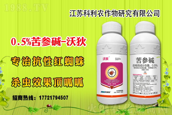 ���x�����x���r���Ӎ2021��5��2��