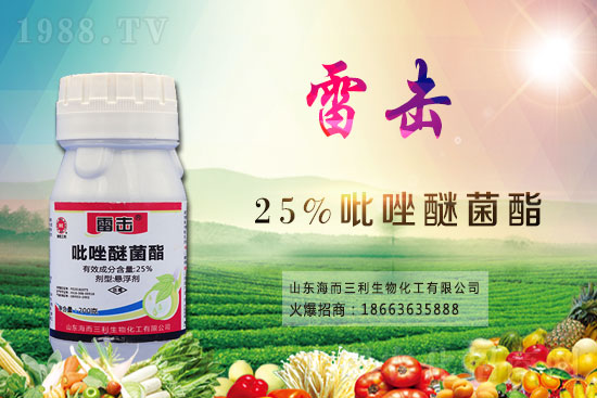 2021.4.30�������r���߄�