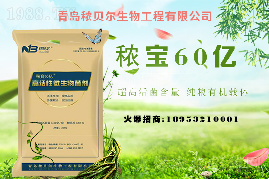 ���՚������r������2021.4.9