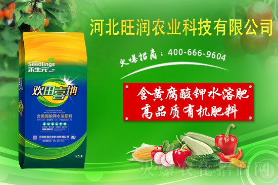 ̼��ø�������-����(r��n)