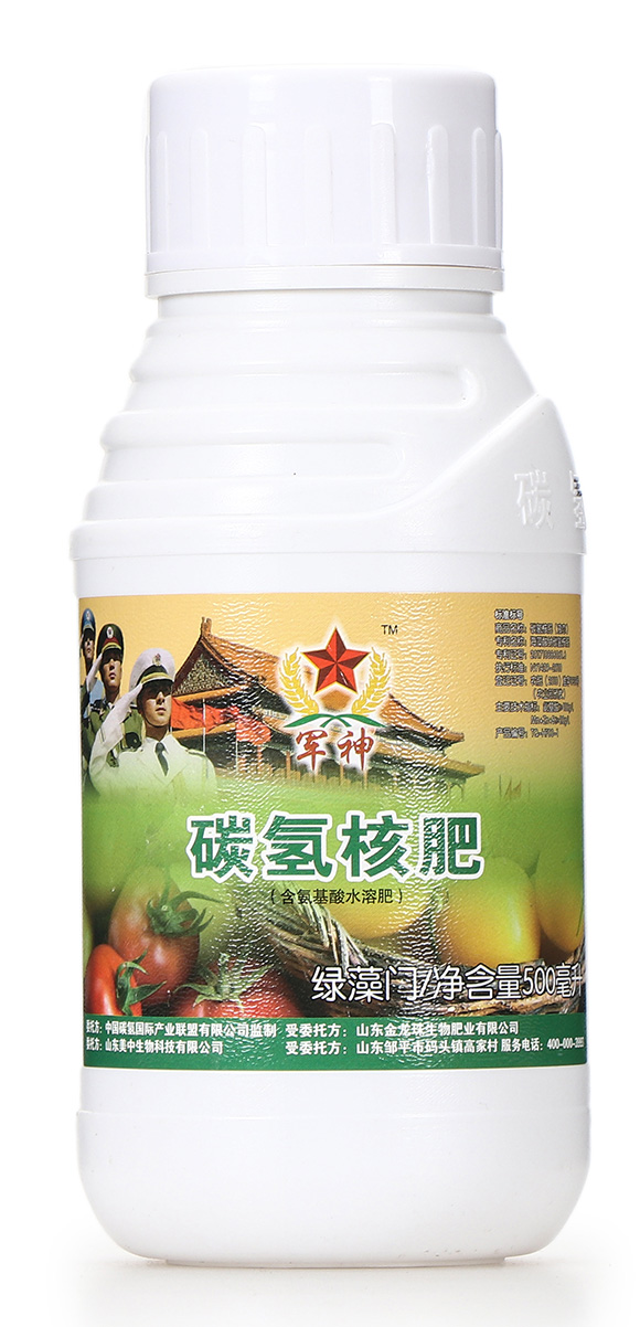 碳?xì)浜朔?綠藻門-碳?xì)鋰?guó)際1