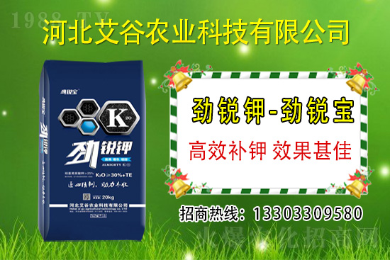 2021��6��1�Շ���(n��i)⛷ʃr(ji��)���߄ݷ���