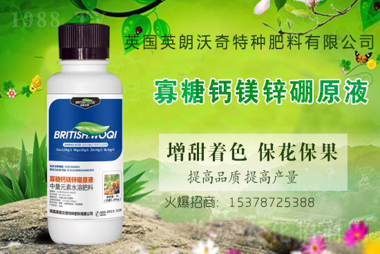 Ӣ������ɹ����s1988.TV���y�ֹ���(chu��ng)��(zh��n)��(j��)��