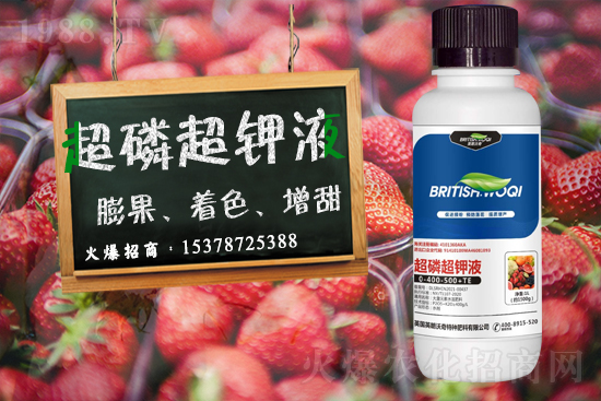 Ӣ������ɹ����s1988.TV���y�ֹ���(chu��ng)��(zh��n)��(j��)��