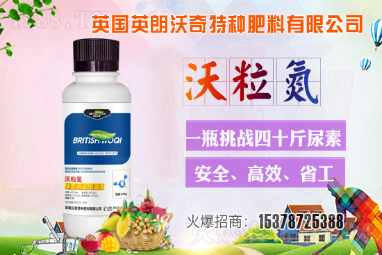 Ӣ������ɹ����s1988.TV���y�ֹ���(chu��ng)��(zh��n)��(j��)��