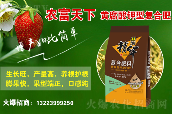 �ͺϷ��Ј����������2021��6��10�ջ��������߄ݣ�