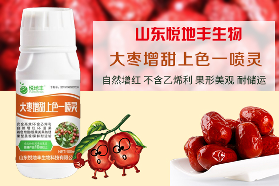 ����(sh��)�S����