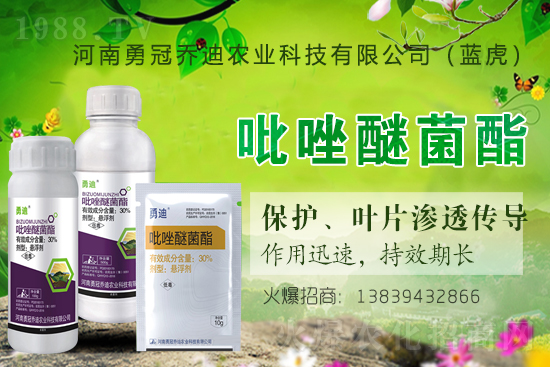 ��������(j��)���¹چ̵ϣ��{(l��n)�����ٺ�1988.TV������(chu��ng)���x����