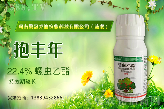 ��������(j��)���¹چ̵ϣ��{(l��n)�����ٺ�1988.TV������(chu��ng)���x����