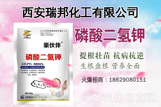 ⛷ʃr����m(x��)�ϝq��2021��6��23��⛷ʃr�������߄�