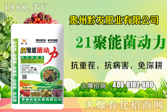 ǭ�l(f��)�ʘI(y��)�ٶȔy��1988.TV���y�ִ����������E��