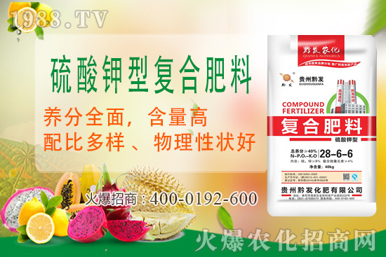 ǭ�l(f��)�ʘI(y��)�ٶȔy��1988.TV���y�ִ����������E��